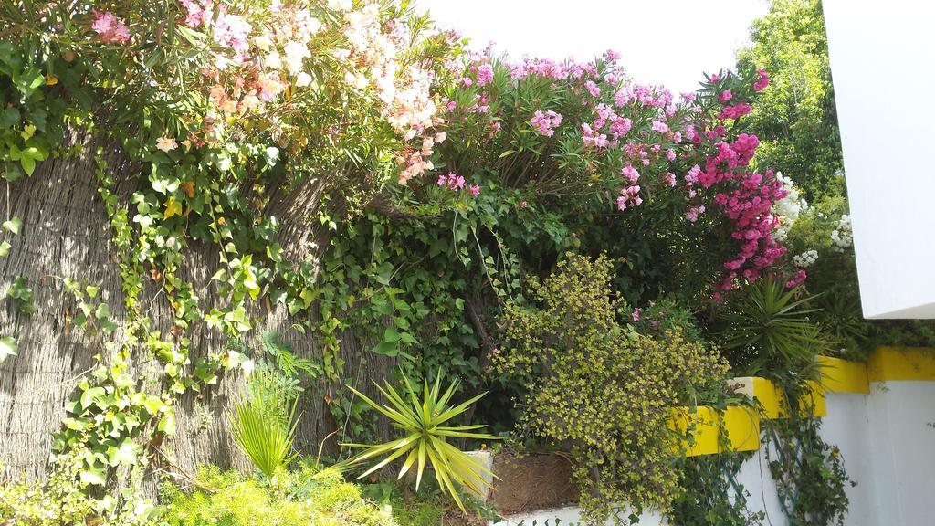 La Gaspara'S Loft Estepona Dış mekan fotoğraf